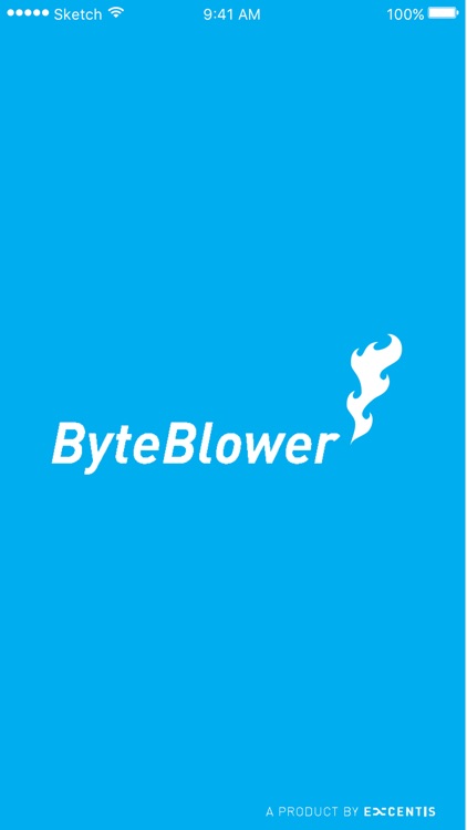 ByteBlower Wireless Endpoint