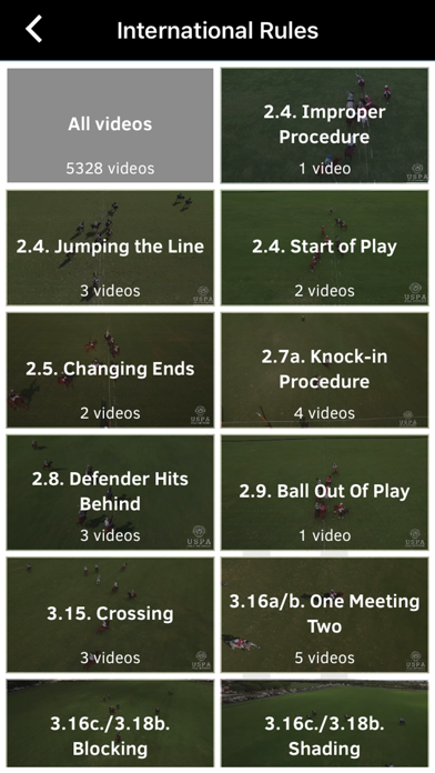 Polo Umpire Screenshot