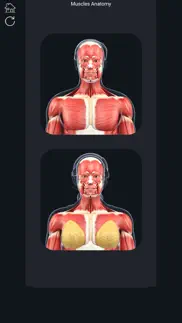 my muscle anatomy iphone resimleri 1
