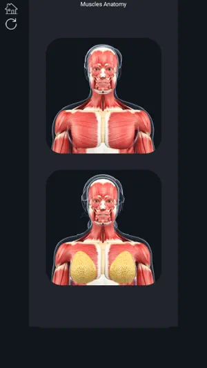 My Muscle Anatomy screenshot 1