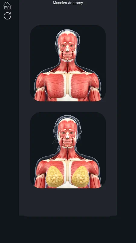 My Muscle Anatomy screenshot 1 of 8