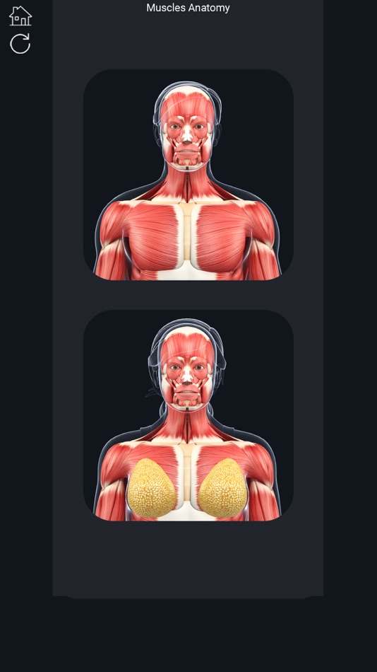 My Muscle Anatomy - 1.0 - (iOS)