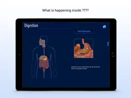 Game screenshot Human Digestive System apk