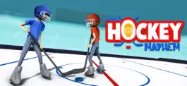 Game screenshot Frozen Hockey Mayhem mod apk