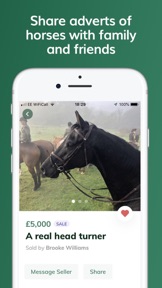 Whickr Buying & Selling Horses screenshot