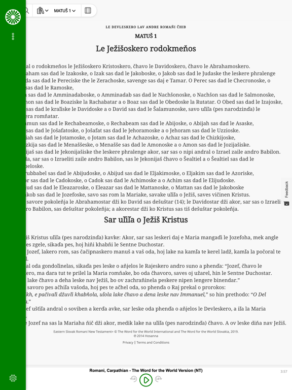 Screenshot #6 pour Romani Bibles