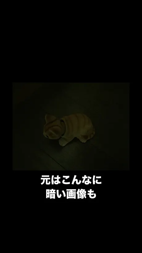 Live Photo Converter