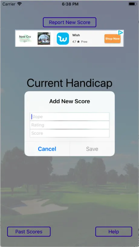 Handicap Caddie