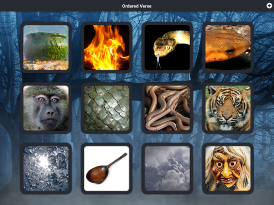 Screenshot #4 pour Macbeth Witches