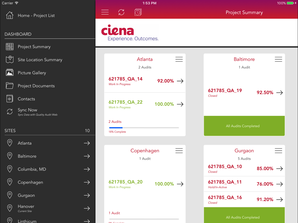 #2. GSS Quality Audit (iOS) 由: Ciena