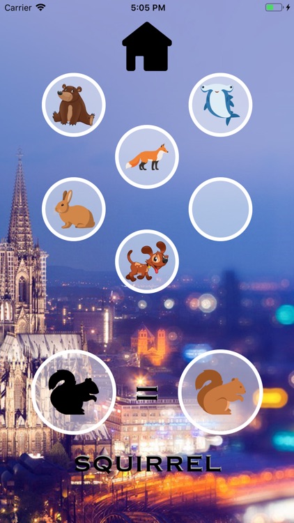 MissCharShadowApp screenshot-3