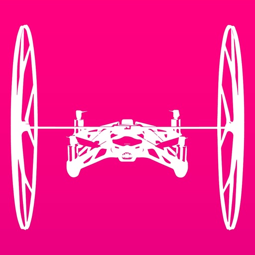 Basic Controller for RS