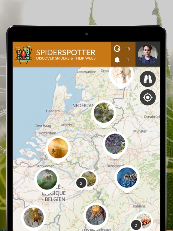 Screenshot #4 pour SpiderSpotter | SPOTTERON