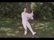 tai chi for beginners 48 form ipad images 4