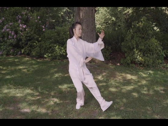 Tai Chi for Beginners 48 Form iPad screenshot