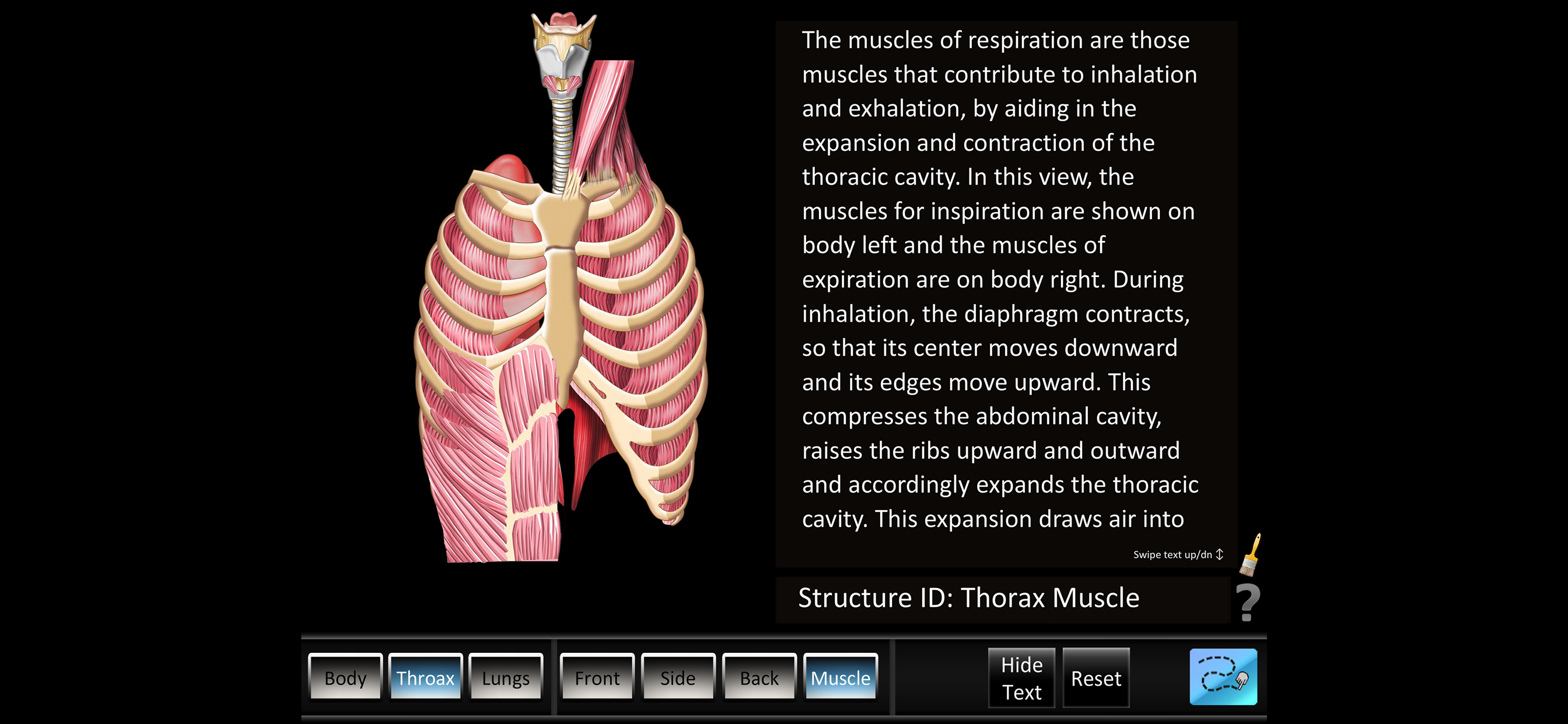 Respiration ID screenshot 5