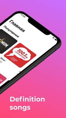 FM Tunes — Online radio player screenshot 2