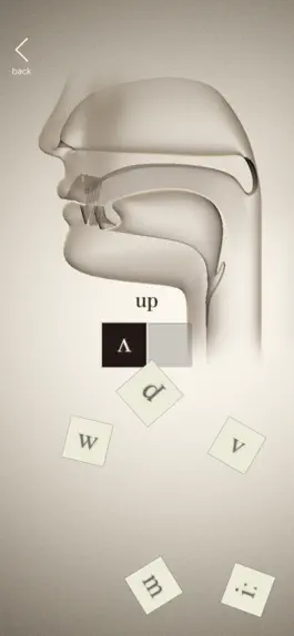 Game screenshot Phonetic Cards mod apk