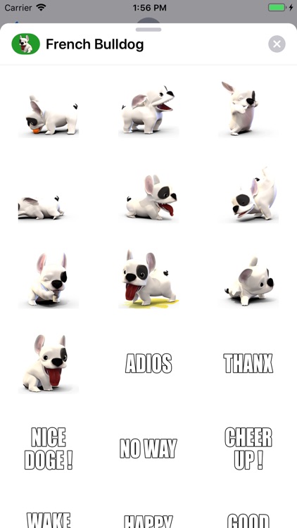 French Bulldog animated dog