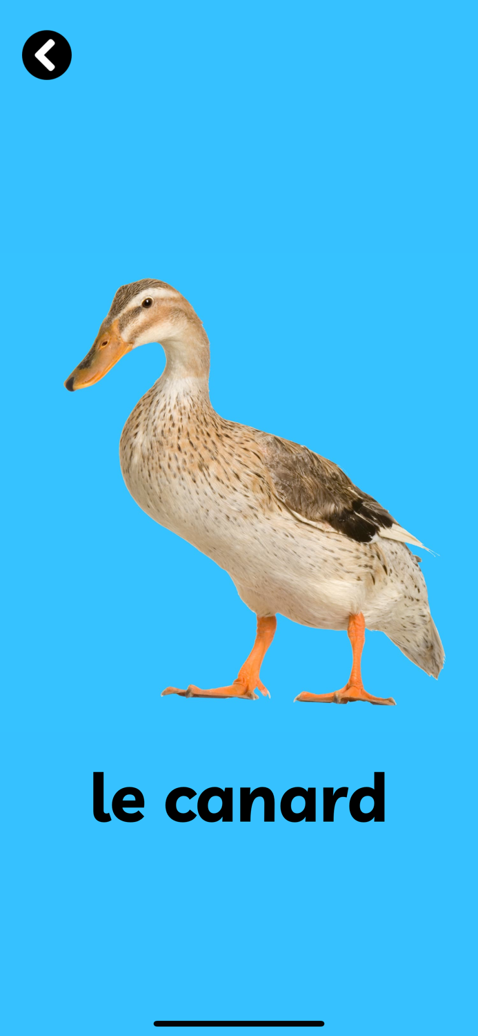 BCA First Words French Paid