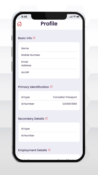 Canadian Union Money Transfer Screenshot