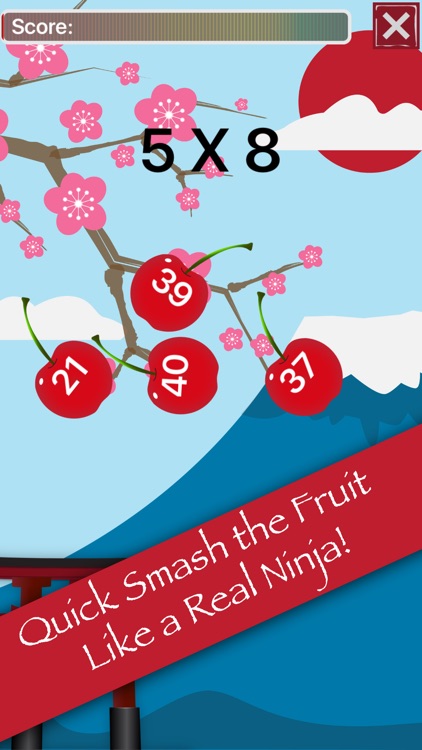 Math Facts Ninja - Math Games screenshot-4