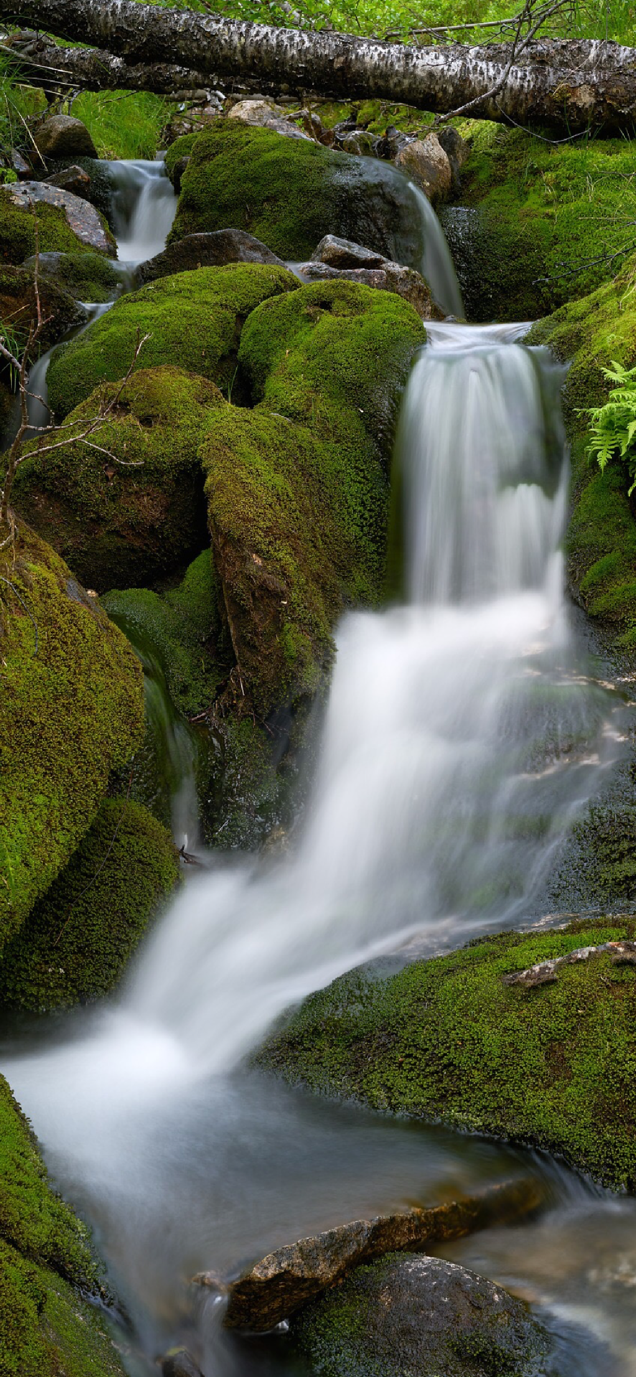 Motion Camera - Long Exposure