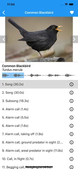 Game screenshot BirdSounds Europe mod apk