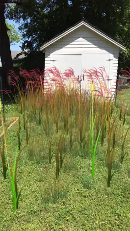 Game screenshot Grass Flower Weed: Bluestem mod apk