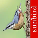 Bird Id - British Isles birds App Positive Reviews