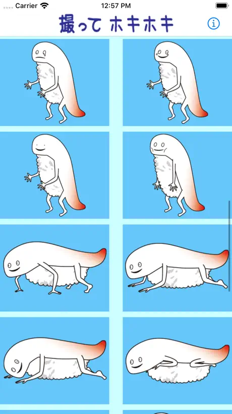 撮ってホキホキ - ずーしーほっきーのカメラ