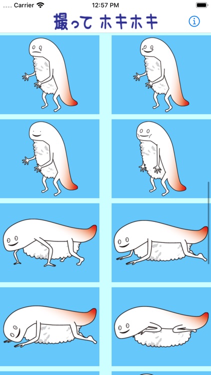 Hoki Hoki Camera screenshot-3