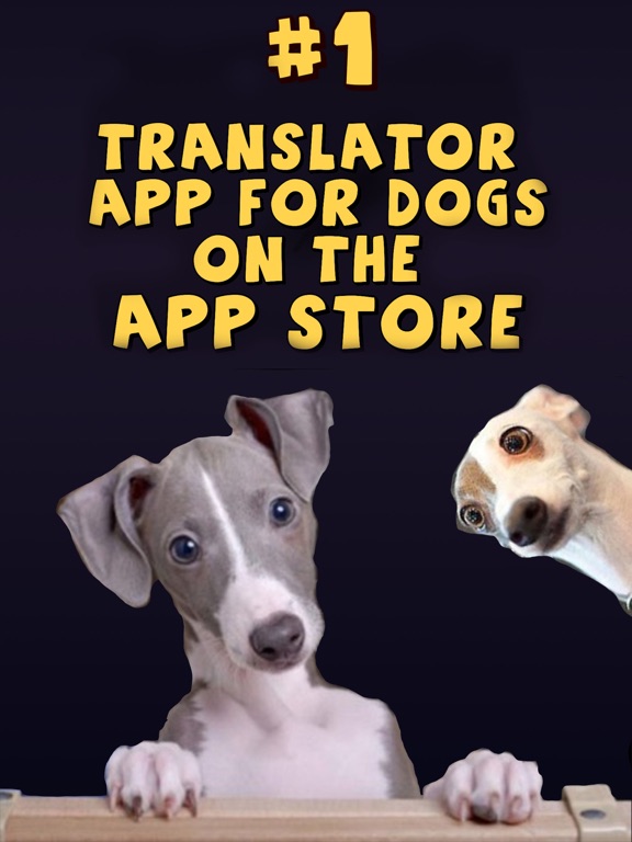 Screenshot #6 pour Traducteur : jeu pour chiens