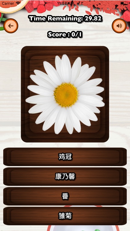 Guess Fruit Flower - Chinese