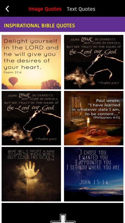 Bíblia Sagrada Almeida (JFA) screenshot-4