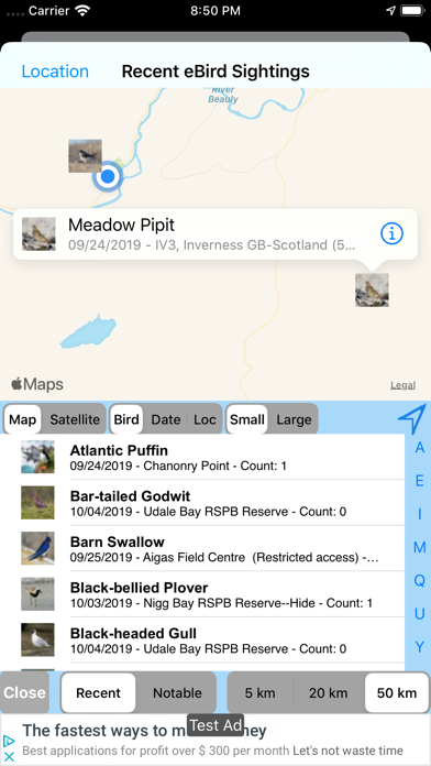 Big Year Birding GB Screenshot
