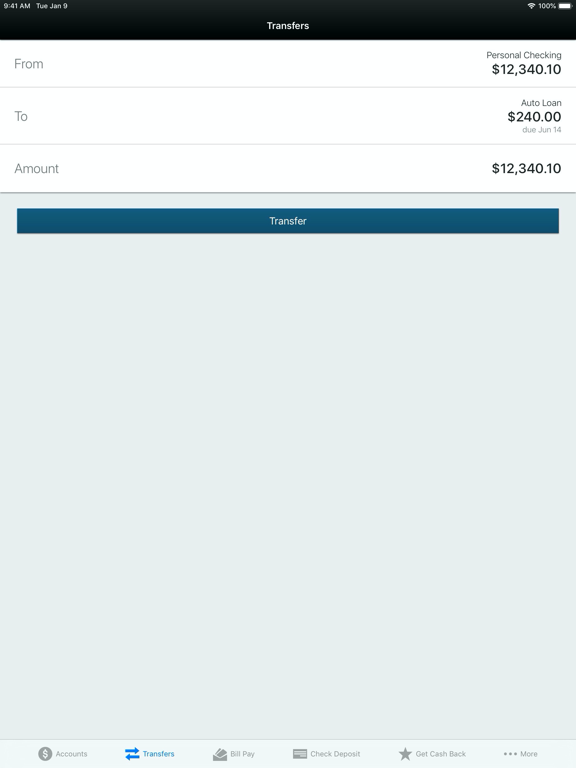 SkyPoint FCU iPad screenshot 4 - Finance app