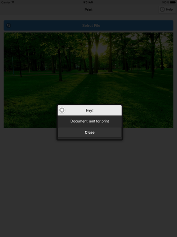Screenshot #6 pour Imprimer à partir iPad
