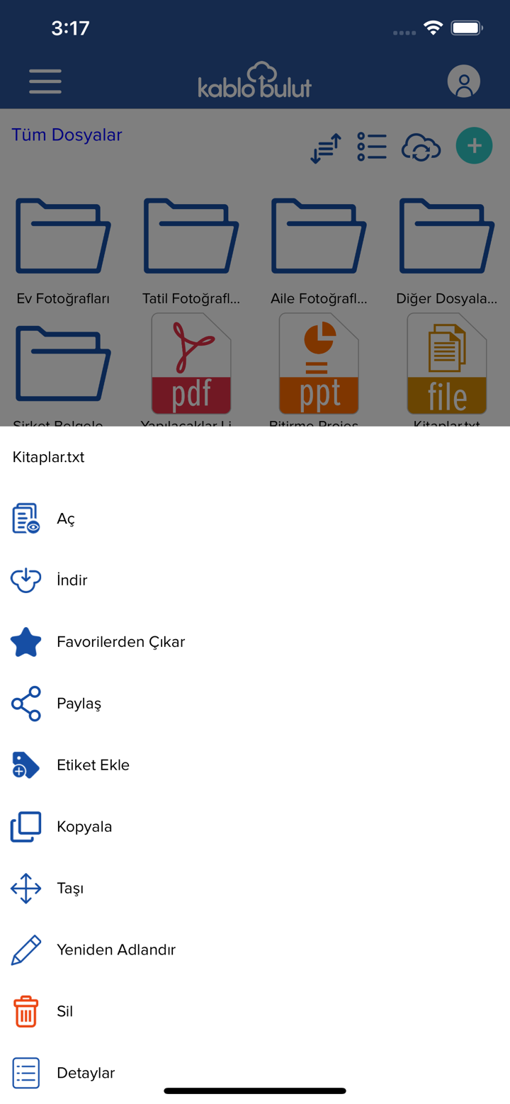 Kablo Bulut screenshot 3