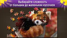 Game screenshot Пазлы для Всей Семьи - puzzle mod apk