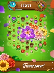 blossom blast saga ipad images 3