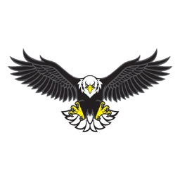 Pioneer School District 402