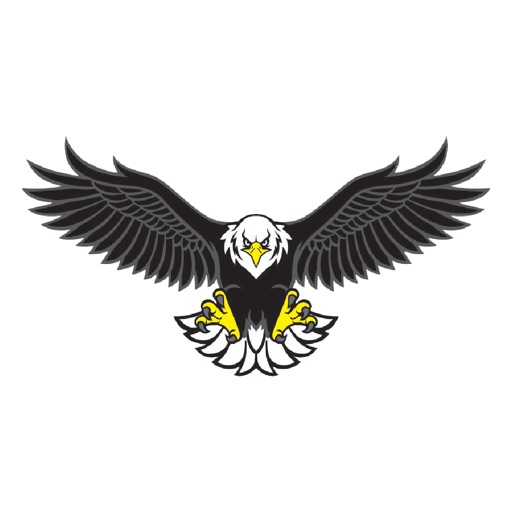 Pioneer School District 402