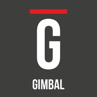 PNJ GIMBAL pour PC