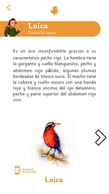 Abate Molina screenshot-4