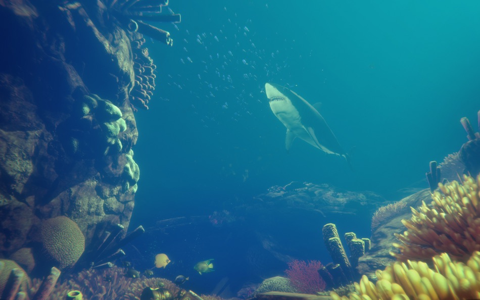 #1. Deep Diving Simulator (macOS) By: Jujubee