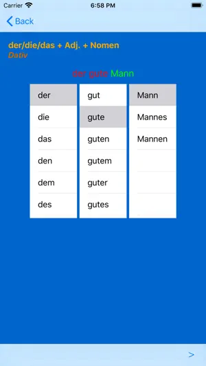 German Adjective Endings screenshot 3