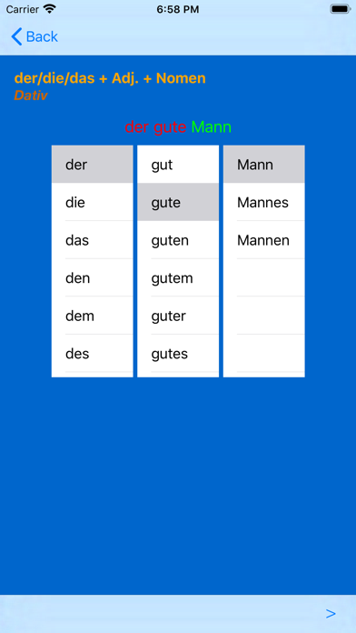 German Adjective Endings Screenshot