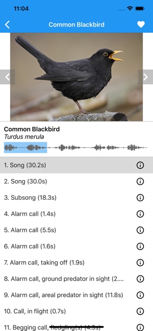 BirdSounds Europe(圖1)-速報App