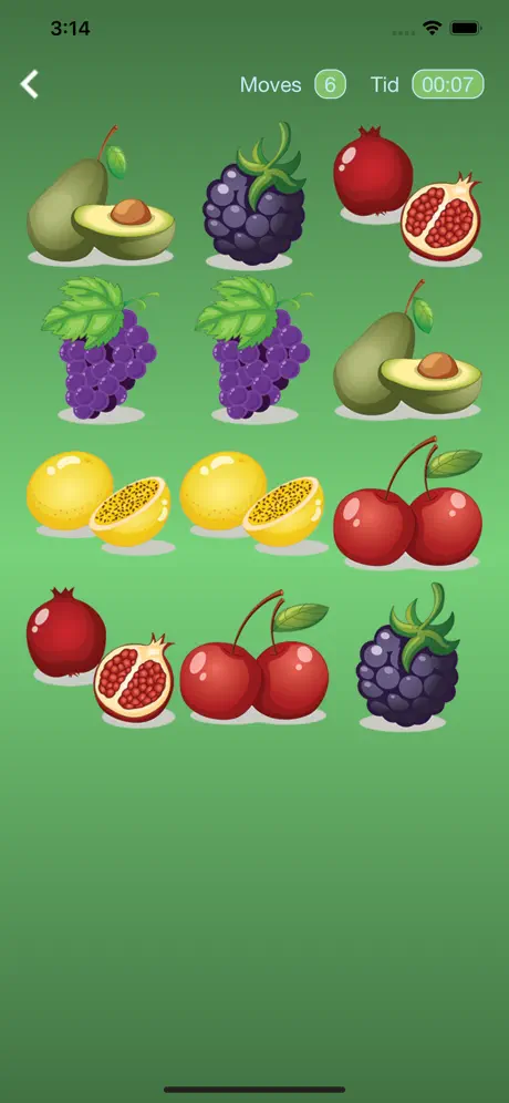Fruit and Match